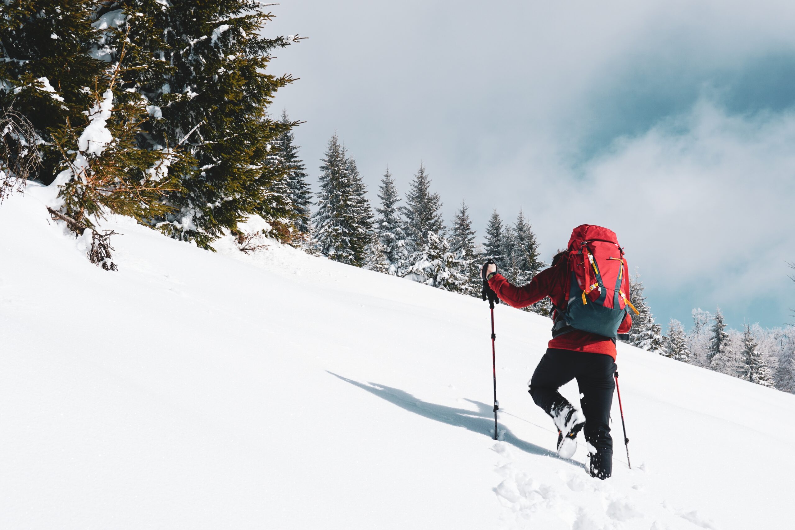 🏔️ Kedarkantha Trek